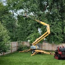 Best Sod Installation  in Jacksonville, TX