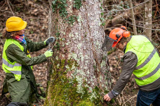 Best Commercial Tree Services  in Jacksonville, TX